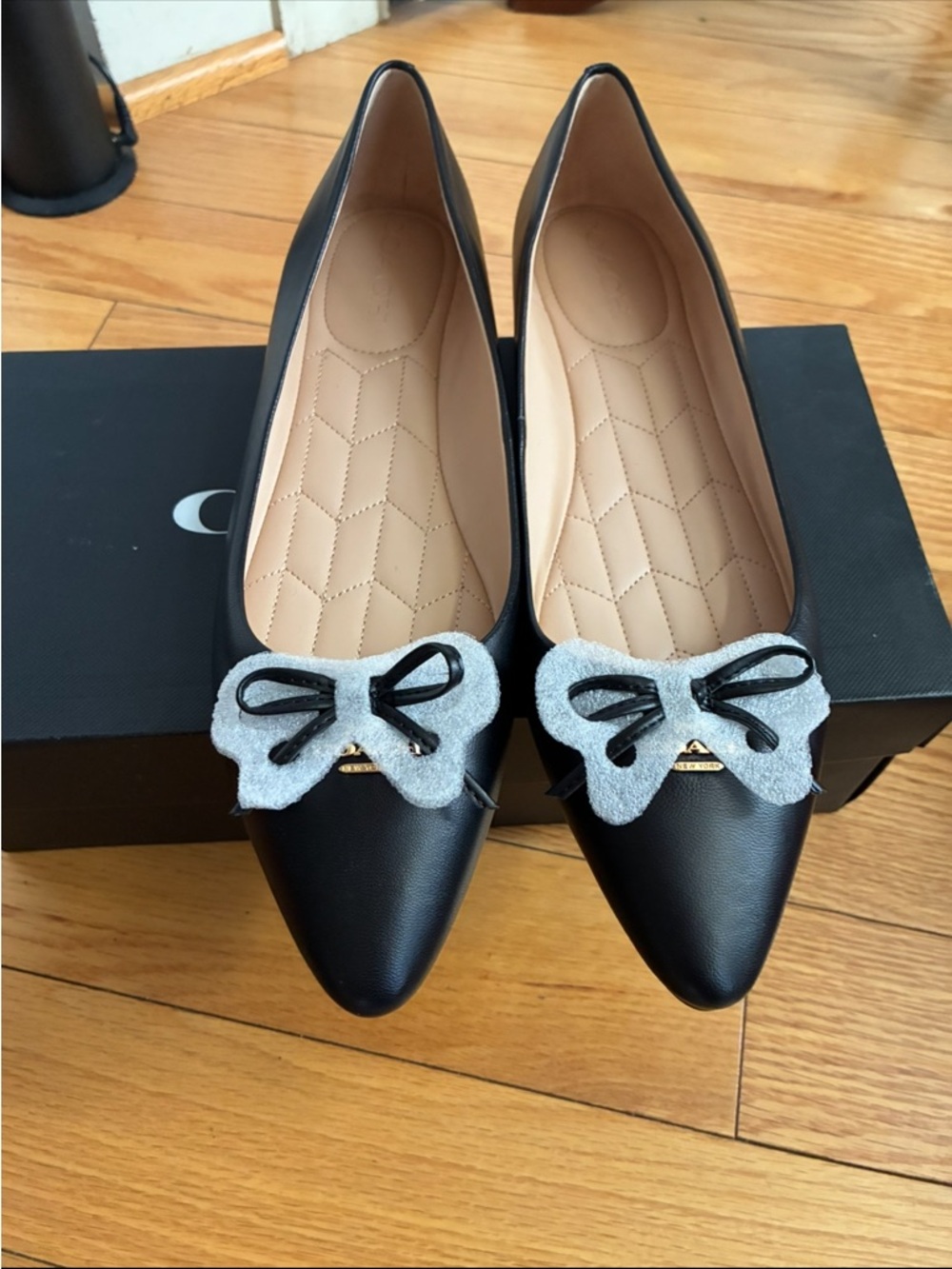 Black Pointed Ballet Flats with Bow Accent